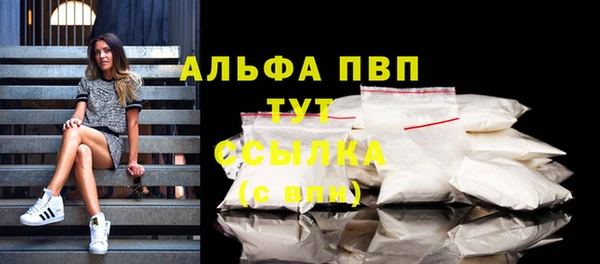 мяу мяу мука Абаза