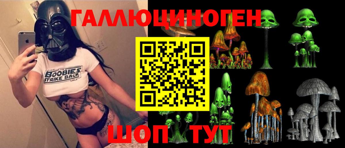 Зеленокумск  Галлюциногенные грибы Psilocybe  Вход с VPN  наркотики  Галлюциногенные грибы Magic Shrooms 